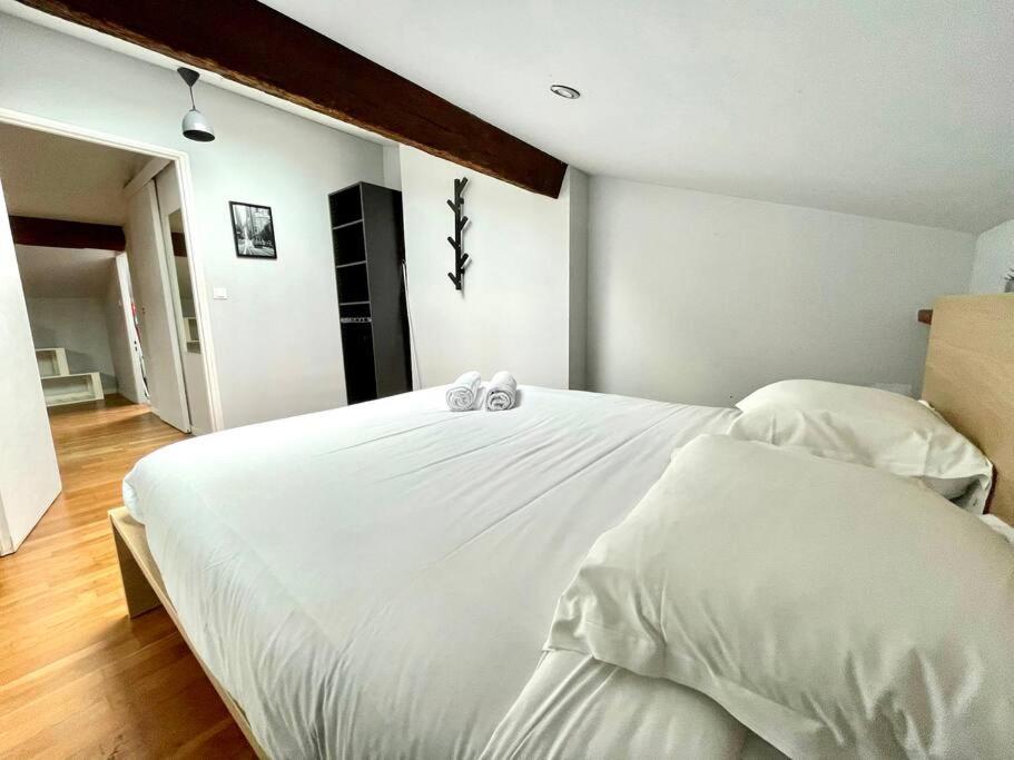 Le Charmeur - Appartement Climatise Avec 2 Chambres - Hypercentre Тулуза Екстер'єр фото